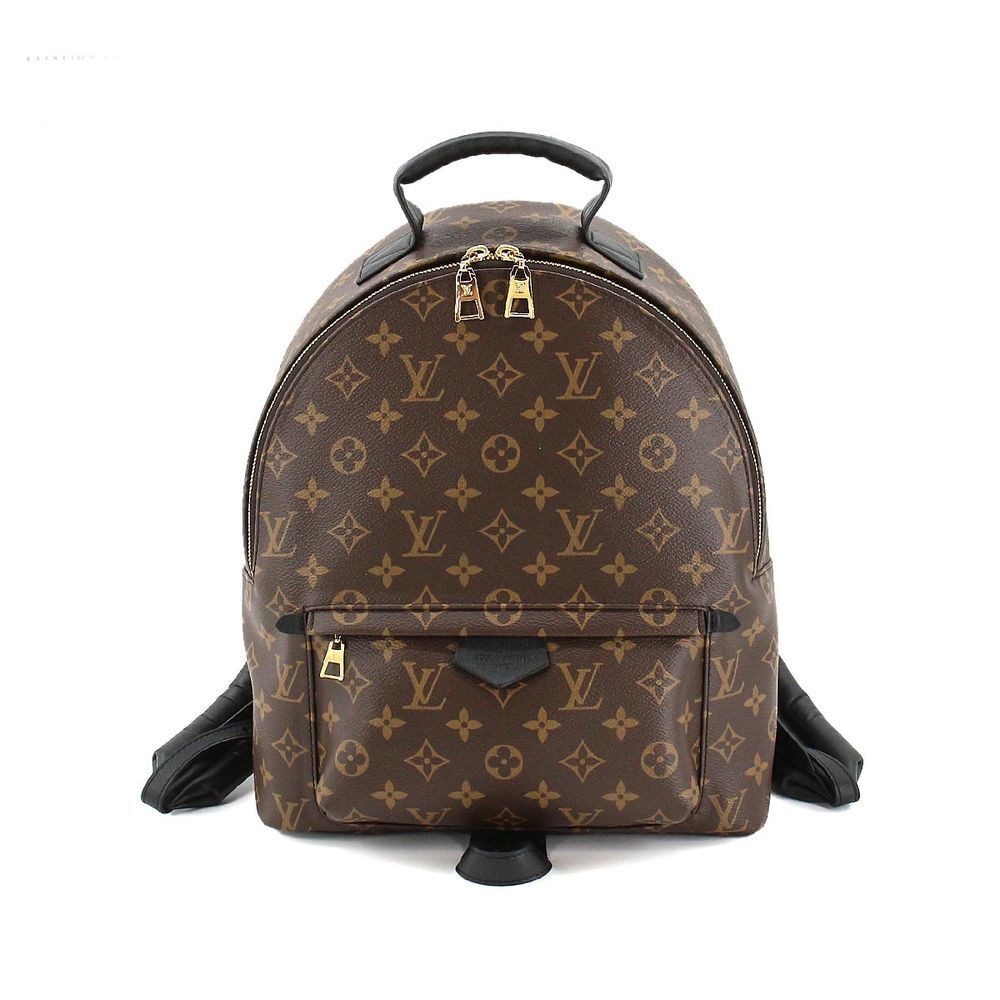Louis Vuitton Monogram Palm Springs Backpack MM Brown